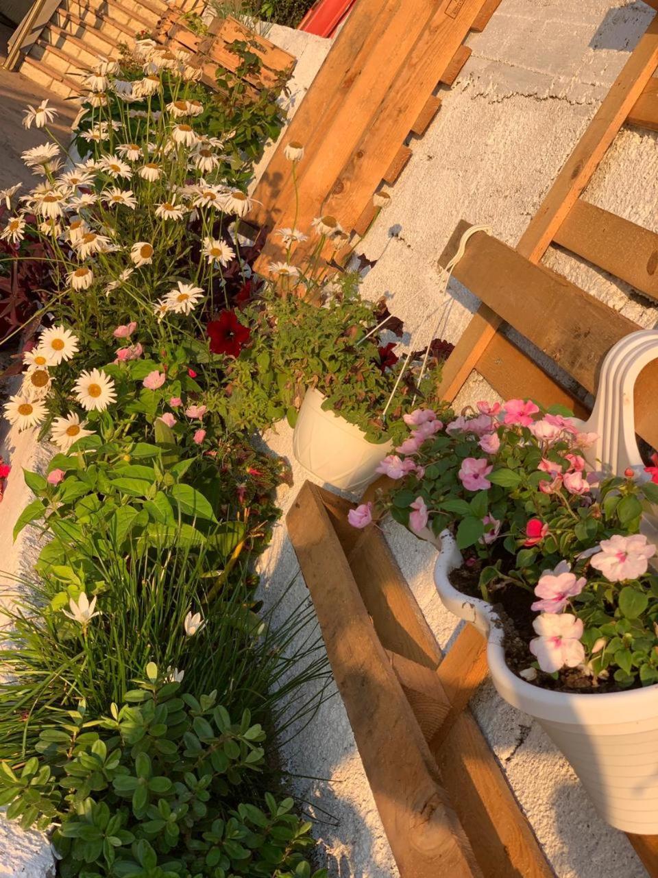 Kenza Apartments Saranda Szoba fotó